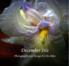 December Iris book cover