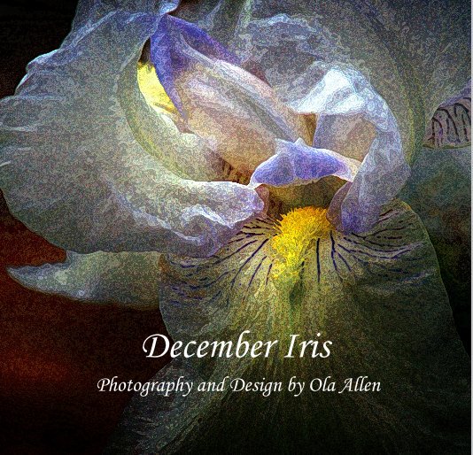 View December Iris by Ola Allen