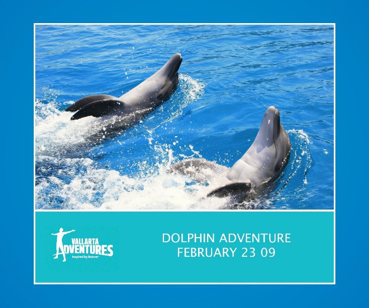 View Dolphin Adventure February 23 09 by vallarta