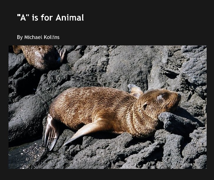 View "A" is for Animal by Michael Kollins