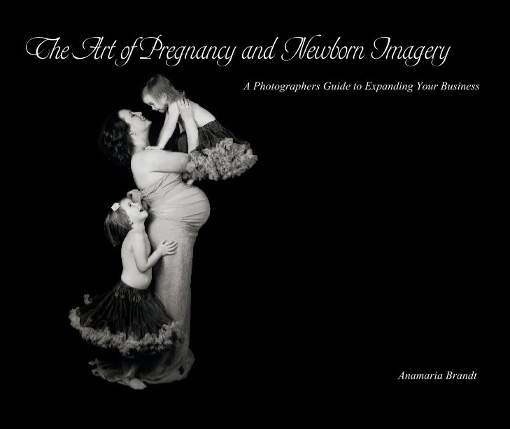 View The Art of Pregnancy and Newborn by Anamaria Brandt