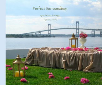 Perfect Surroundings IMAGEWRAP COVER VERSION book cover