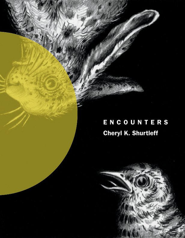 Ver Encounters: Cheryl K. Shurtleff por Visual Arts Center
