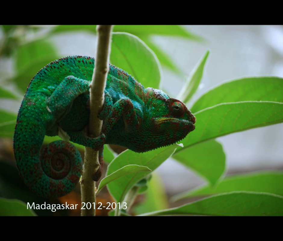 Madagaskar 2012-2013 nach Carolina Anestam anzeigen