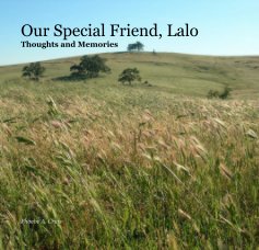 Our Special Friend, Lalo Thoughts and Memories book cover