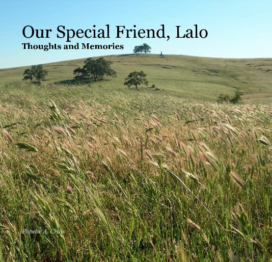 View Our Special Friend, Lalo Thoughts and Memories by Phoebe A. Crais