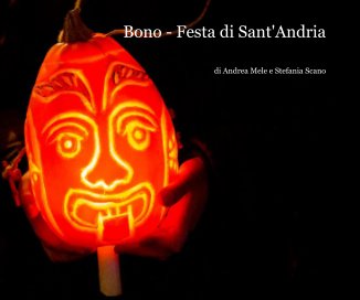 Bono - Festa di Sant'Andria book cover