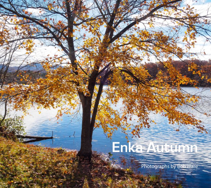 View Enka Autumn by Bob Ware