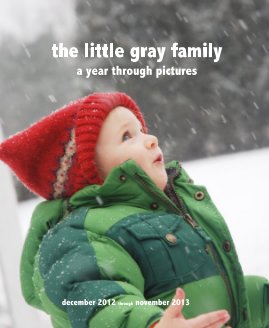 the little gray family a year through pictures book cover