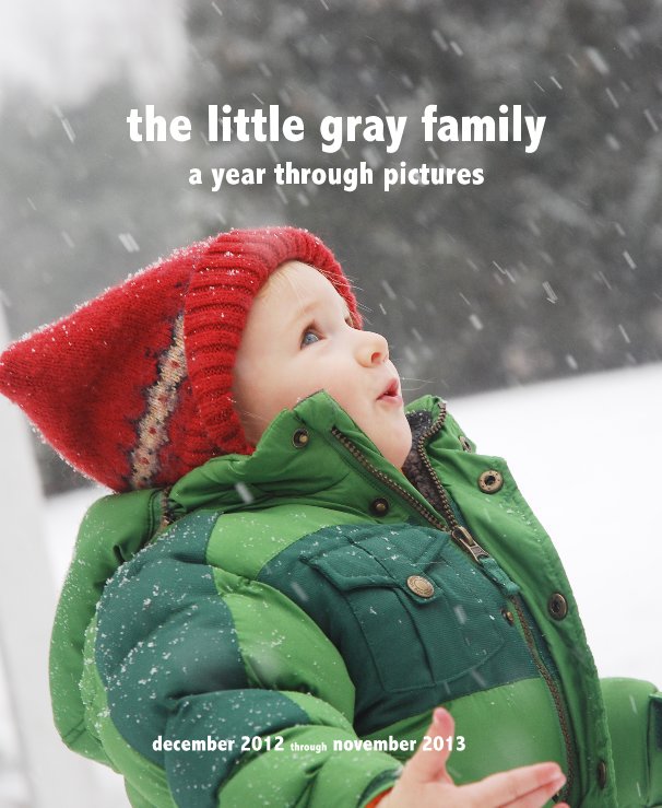 Ver the little gray family a year through pictures por december 2012 through november 2013