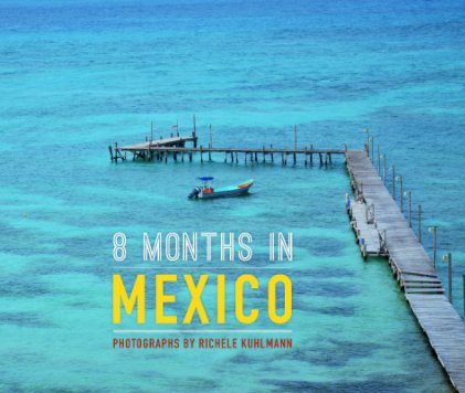 8 MONTHS IN MEXICO book cover