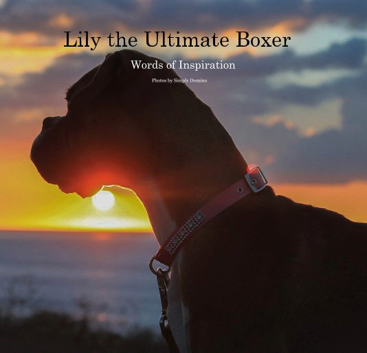 View Lily the Ultimate Boxer by Photos by Simply Domino