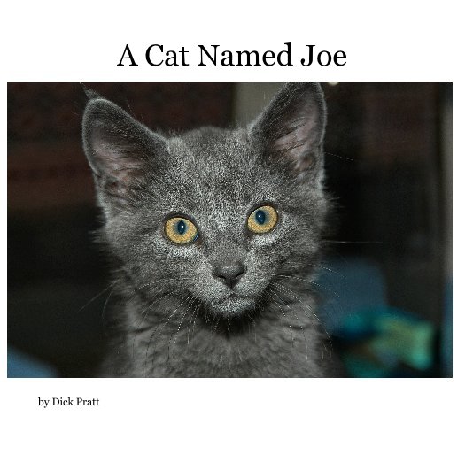 View A Cat Named Joe by Dick Pratt