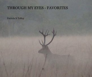 THROUGH MY EYES - FAVORITES book cover