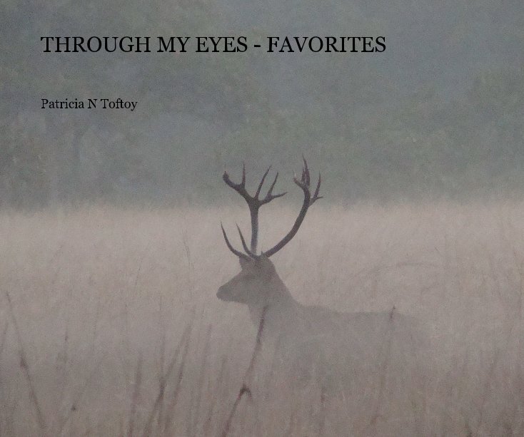 View THROUGH MY EYES - FAVORITES by Patricia N Toftoy