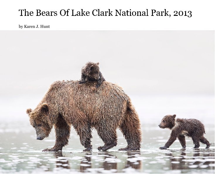 View The Bears Of Lake Clark National Park, 2013 by KarenJeanne