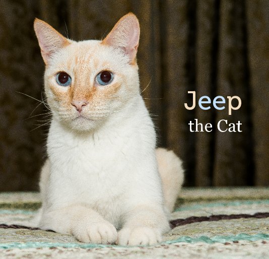 View Jeep the Cat by dgregg02