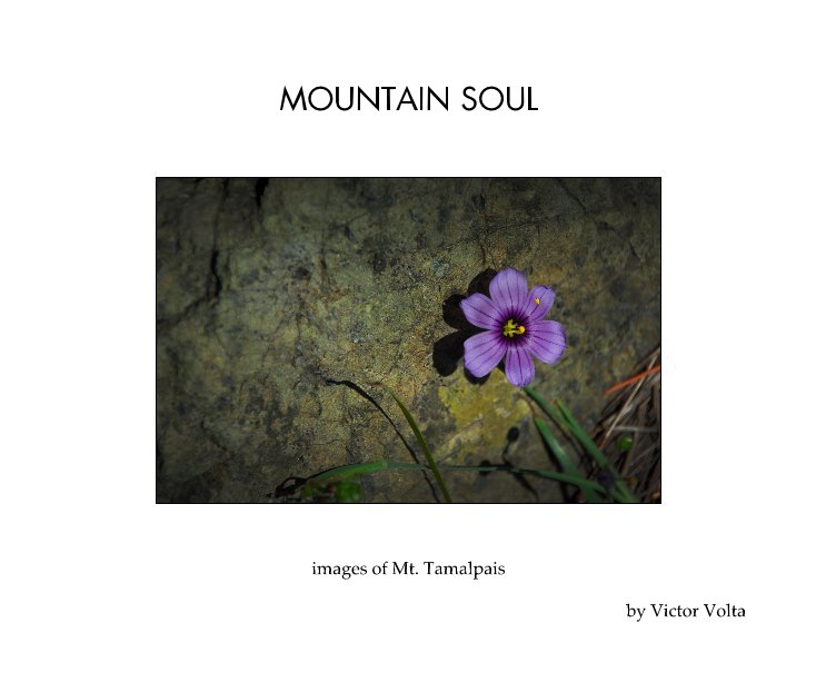 View Mountain Soul by Victor Volta