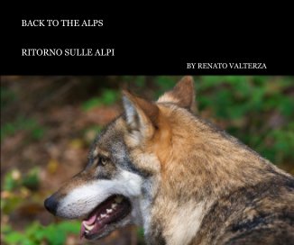 BACK TO THE ALPS book cover