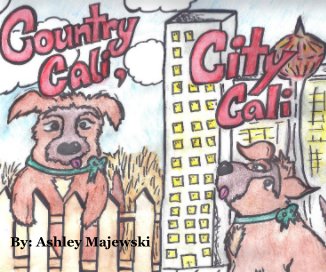 COUNTRY CALI, CITY CALI book cover