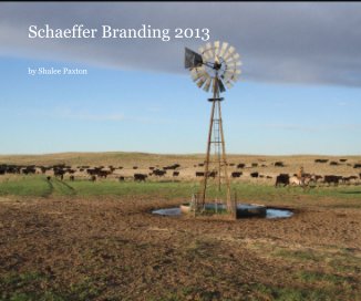 Schaeffer Branding 2013 book cover