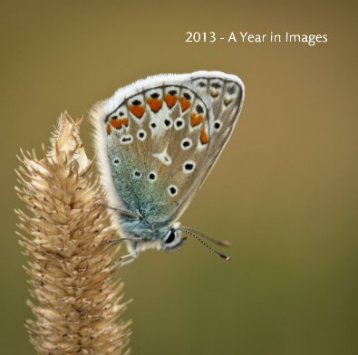 2013 - A Year in Images book cover