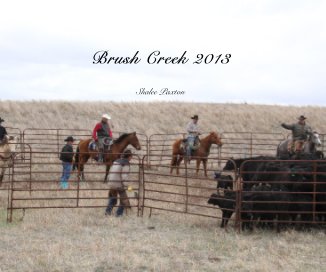 Brush Creek 2013 Shalee Paxton book cover