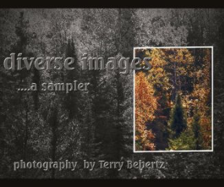 diverse images book cover