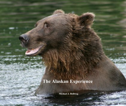 The Alaskan Experience book cover