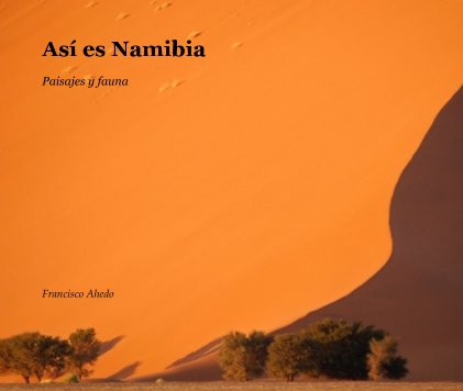 Así es Namibia book cover
