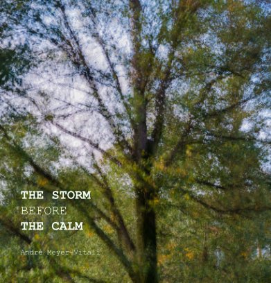The Storm Before The Calm book cover