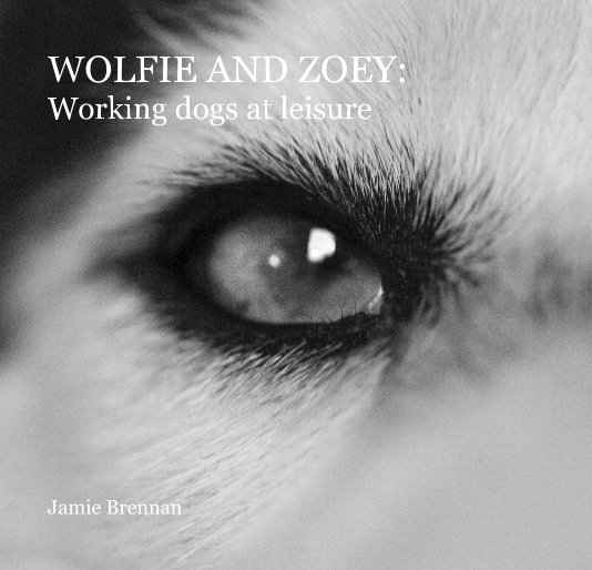 View WOLFIE AND ZOEY: Working dogs at leisure by Jamie Brennan
