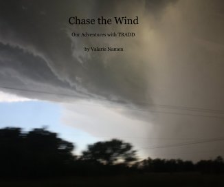 Chase the Wind book cover