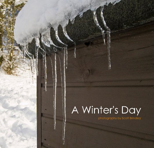 Ver A Winter's Day por Scott Brindley