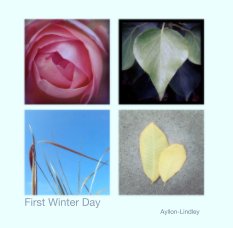 First Winter Day book cover
