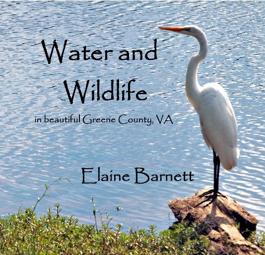 View Water and Wildlife by Elaine Barnett