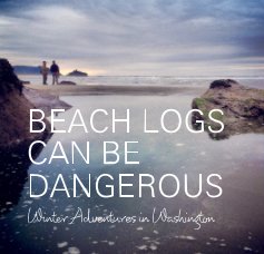BEACH LOGS CAN BE DANGEROUS book cover
