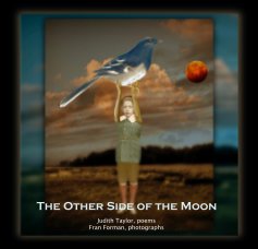 The Other Side of the Moon book cover