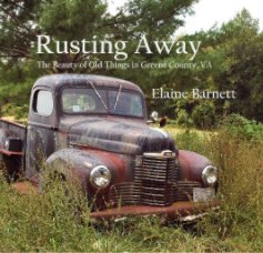 Rusting Away book cover