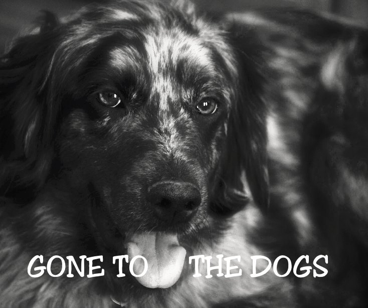 Visualizza GONE TO THE DOGS di cindyaustin