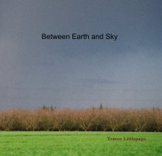 Between Earth and Sky book cover