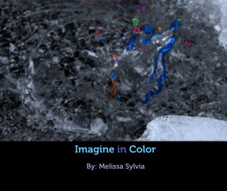 Imagine in Color book cover
