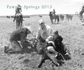 Pawnee Springs 2013 book cover