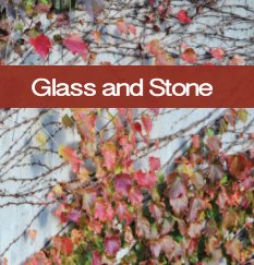 Stone and Glass book cover