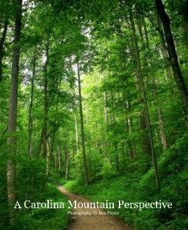 A Carolina Mountain Perspective book cover