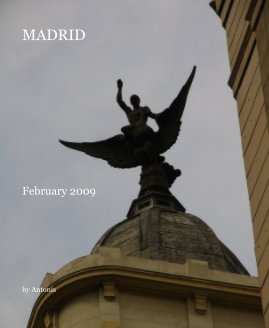 MADRID book cover