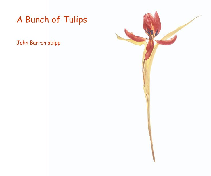 Ver A Bunch of Tulips por John Barron abipp