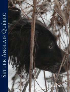 Setter Anglais Québec book cover