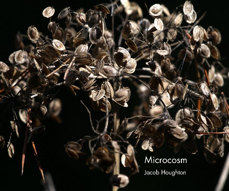 Ver Microcosm por Jacob Houghton
