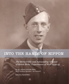 INTO THE HANDS OF NIPPON book cover